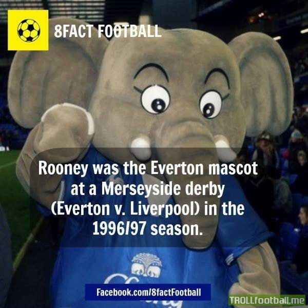 Rooney was the Everton mascot in the Merseyside Derby | Troll Football